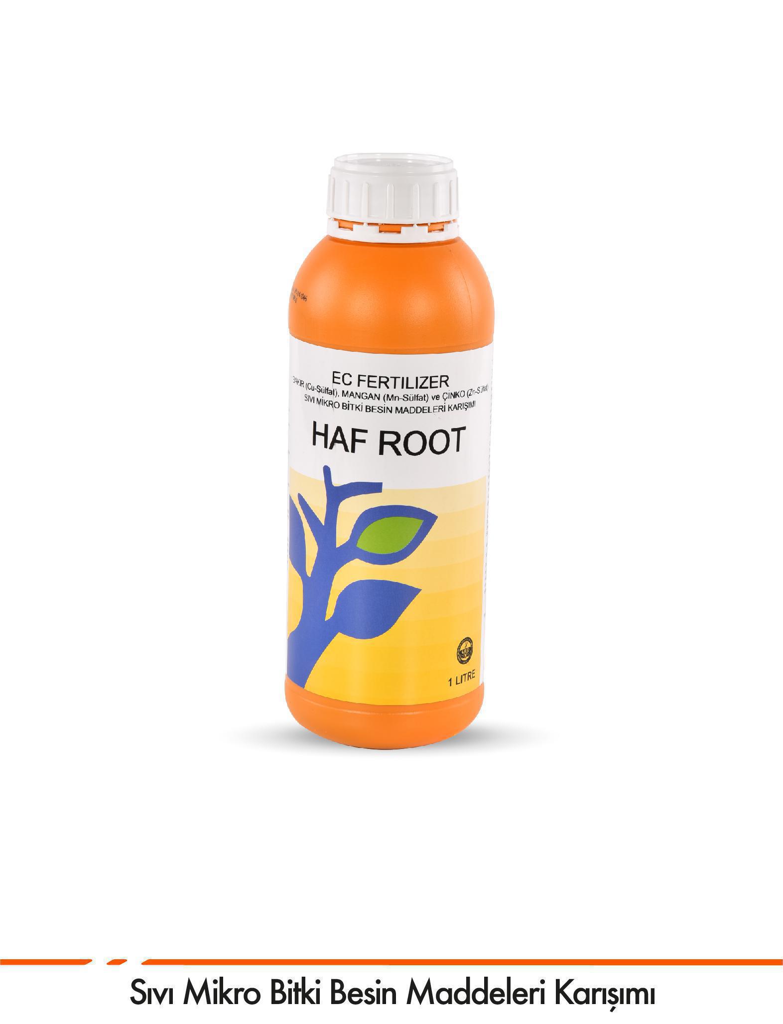 Haf Root