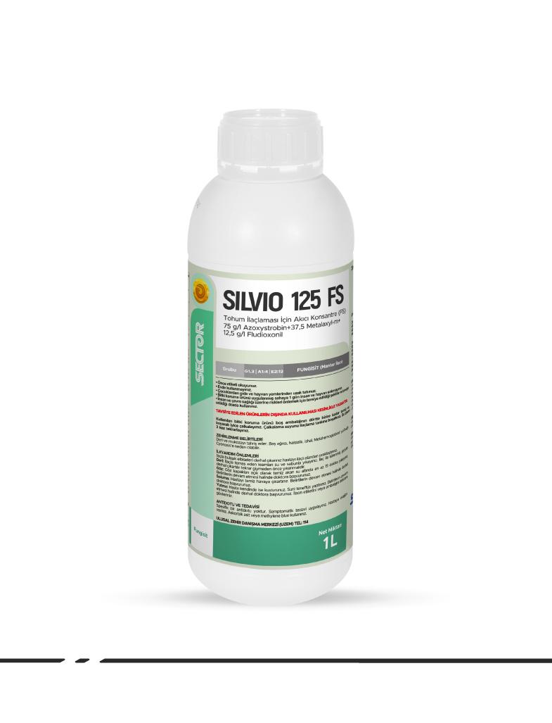 Silvio 125 FS