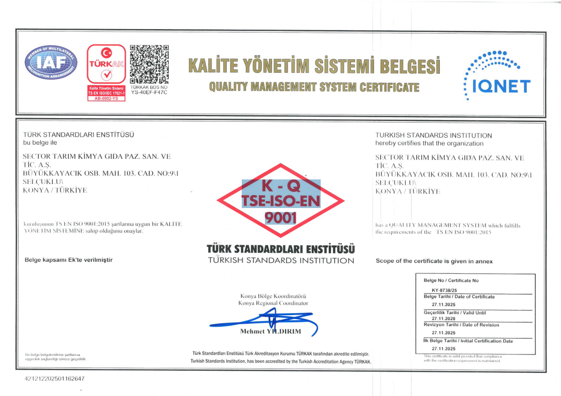 ISO 9001-2015